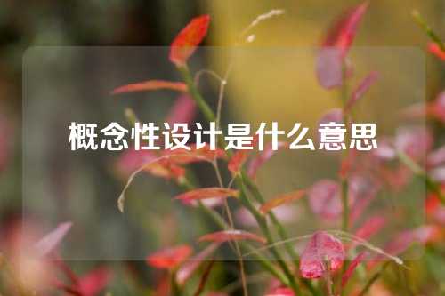 概念性设计是什么意思