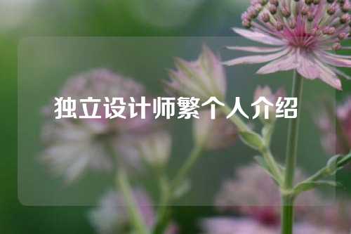 独立设计师繁个人介绍