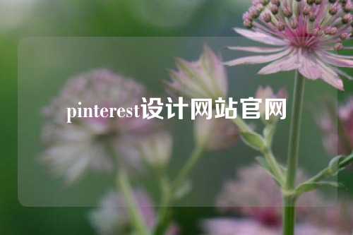 pinterest设计网站官网