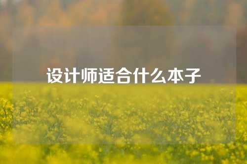 设计师适合什么本子