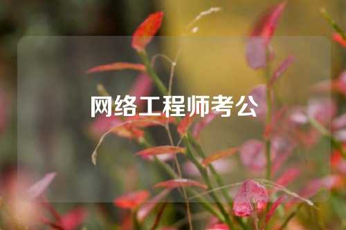 网络工程师考公