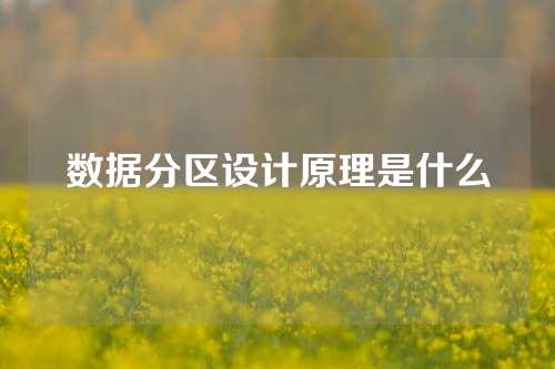 数据分区设计原理是什么