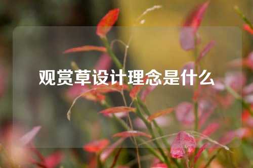 观赏草设计理念是什么