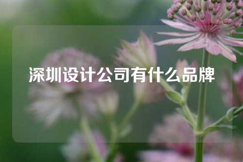 深圳设计公司有什么品牌