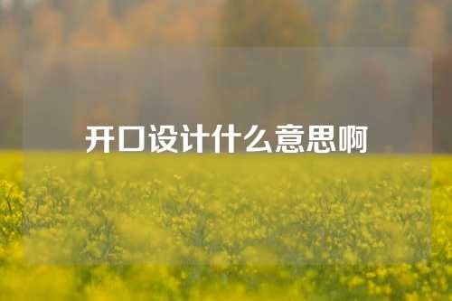 开口设计什么意思啊