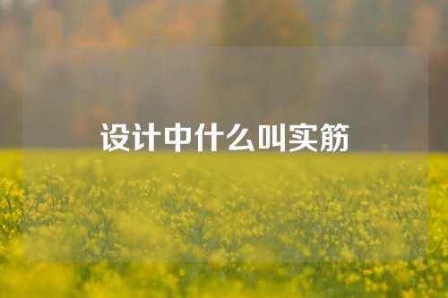 设计中什么叫实筋